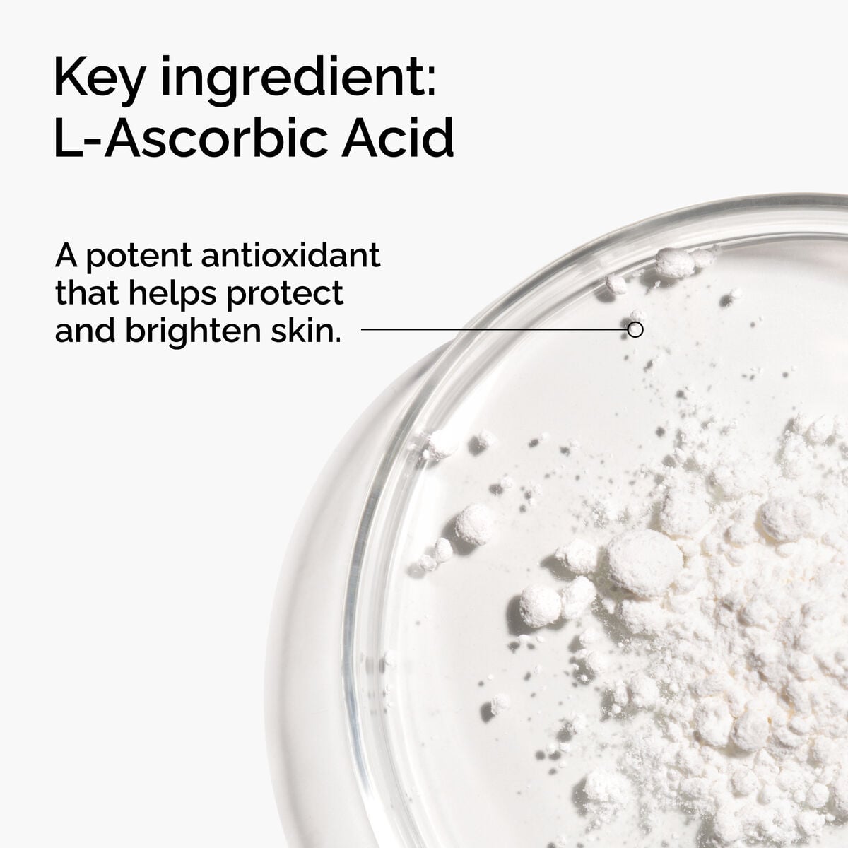 100-l-ascorbic-acid-powder-g9 FY25-D41247-ORD-Web-PDP-100-LAscb-Pwd-1x1-EN-2a.jpg