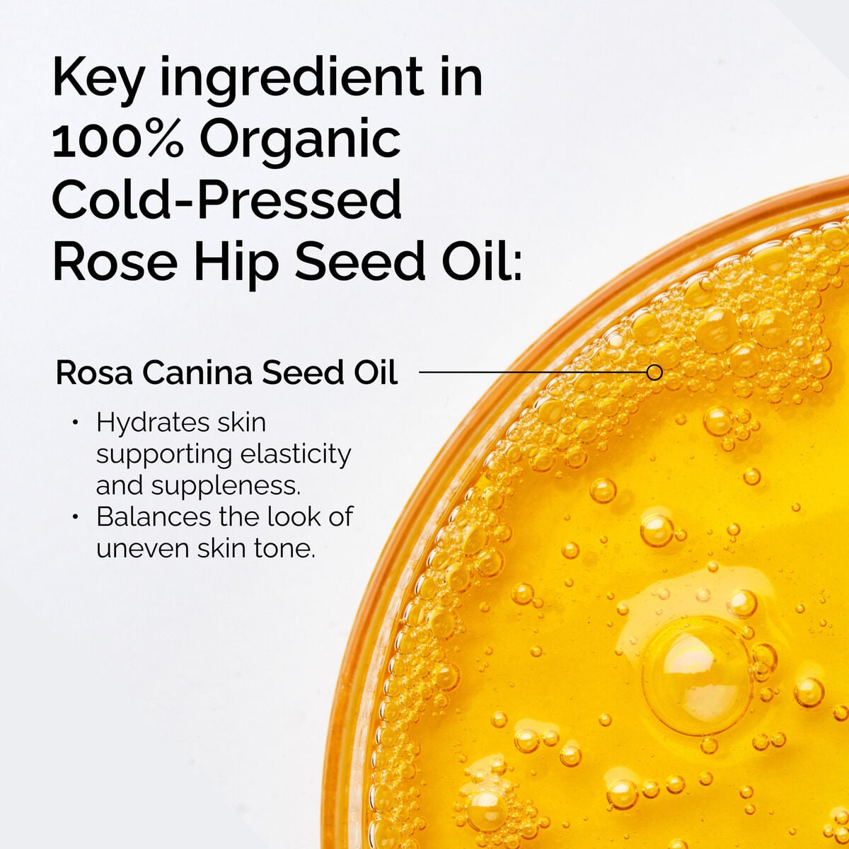 100-organic-cold-pressed-rose-hip-seed-oil-s7 FY25-D41247-ORD-Web-PDP-100-Rose-Hip-Oil-1x1-EN-2.jpg
