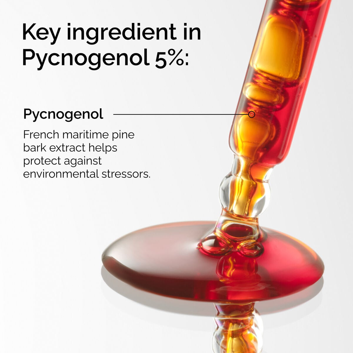 pycnogenol-5-j5 FY25-D41247-ORD-Web-PDP-Pyc-5pct-1x1-EN-2a.jpg