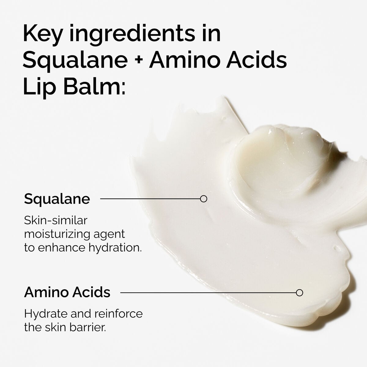 squalane-amino-acids-lip-balm-q7 FY25-D41247-ORD-Web-PDP-Sql-Amino-Lip-1x1-EN-2a.jpg