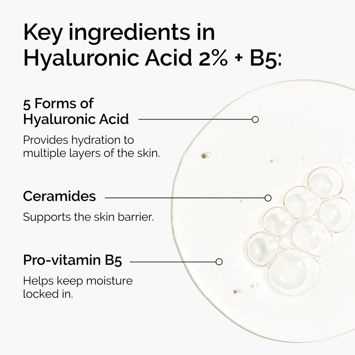 hyaluronic-acid-2-b5-with-ceramides-m8 ord-hyaluronic-acid-2pct-b5-hydrating-serum-ingredients-graphic.jpg