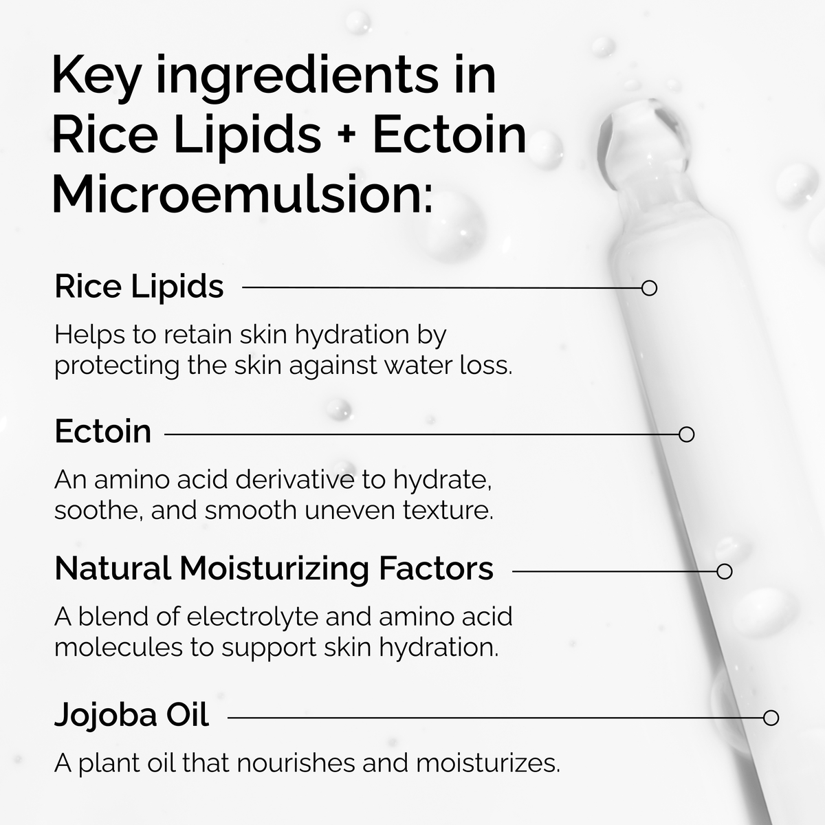 rice-lipids-ectoin-microemulsion-f9 ord-rice-lipids-ectoin-microemulsion-key-ingredients.png
