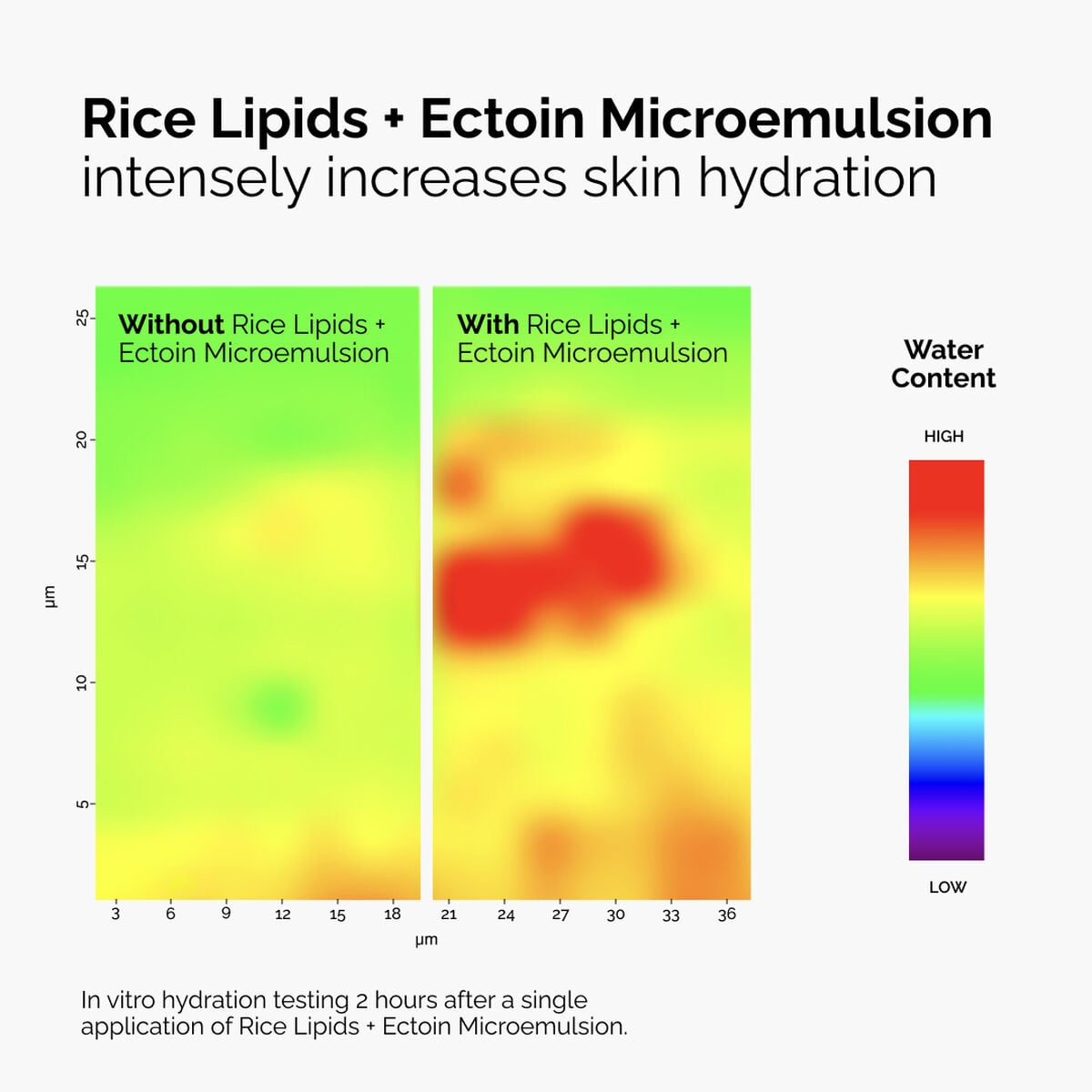 rice-lipids-ectoin-microemulsion-f9 ord-rice-lipids-ectoin-microemulsion-thermal-before-after.jpg
